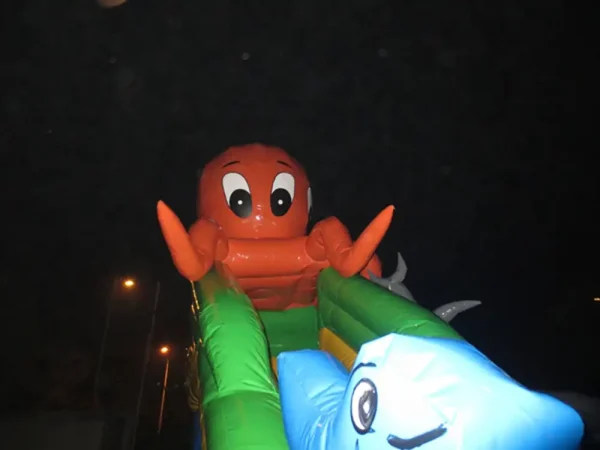 AOYU Giant Indoor Ocean Theme Inflatable Land Water Park Bouncer With Pool Slide For Adult For Sale - 图片 3