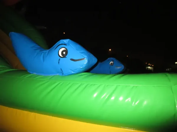 AOYU Giant Indoor Ocean Theme Inflatable Land Water Park Bouncer With Pool Slide For Adult For Sale - 图片 4