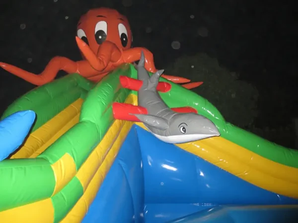 AOYU Giant Indoor Ocean Theme Inflatable Land Water Park Bouncer With Pool Slide For Adult For Sale